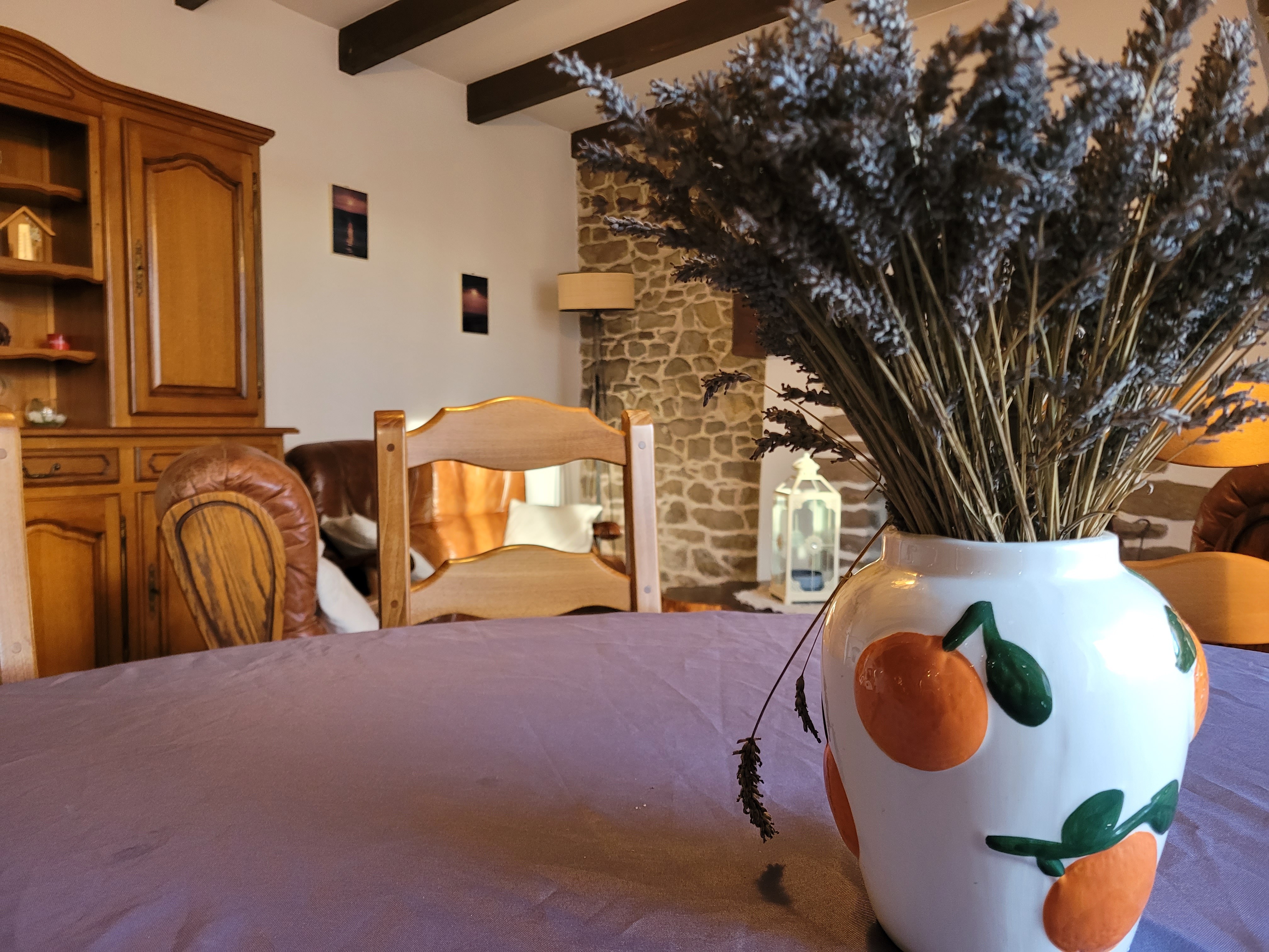 Le Grand location de vacances, Pléhedel, Séjour salon et cusine aménagée