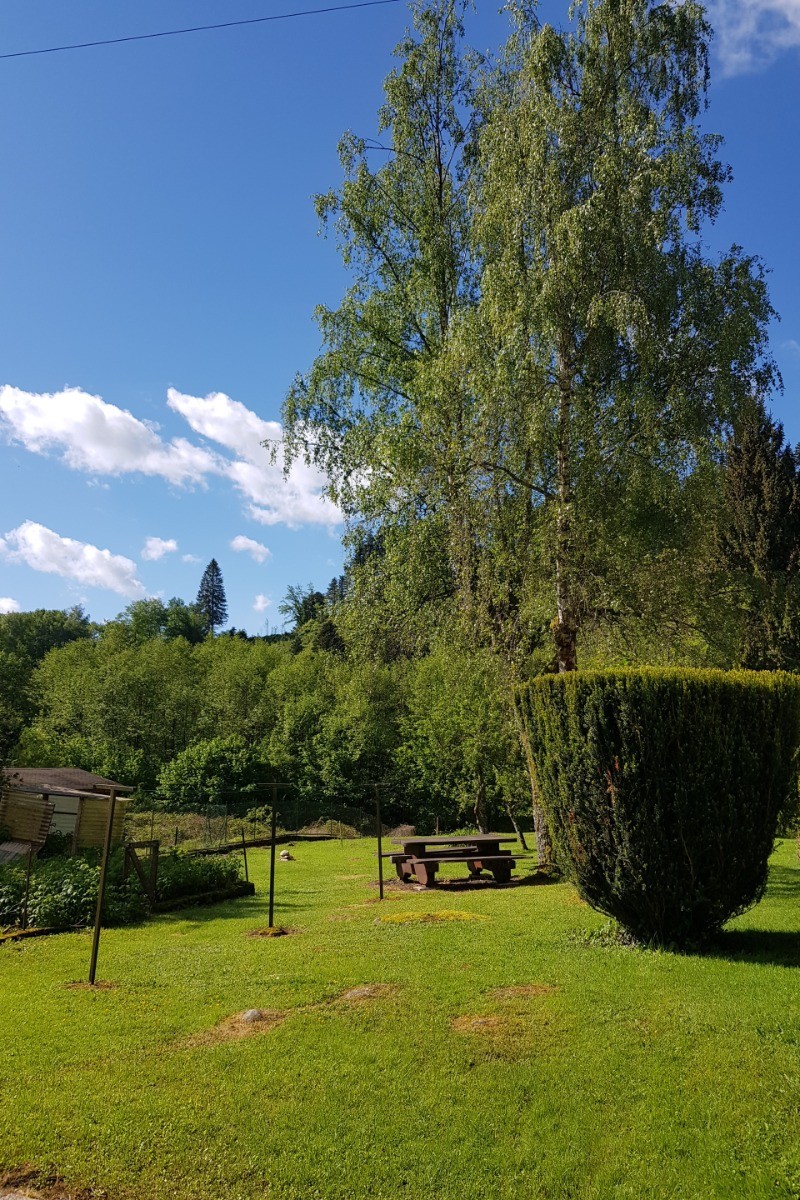 Terrain à l'arrière de la maison