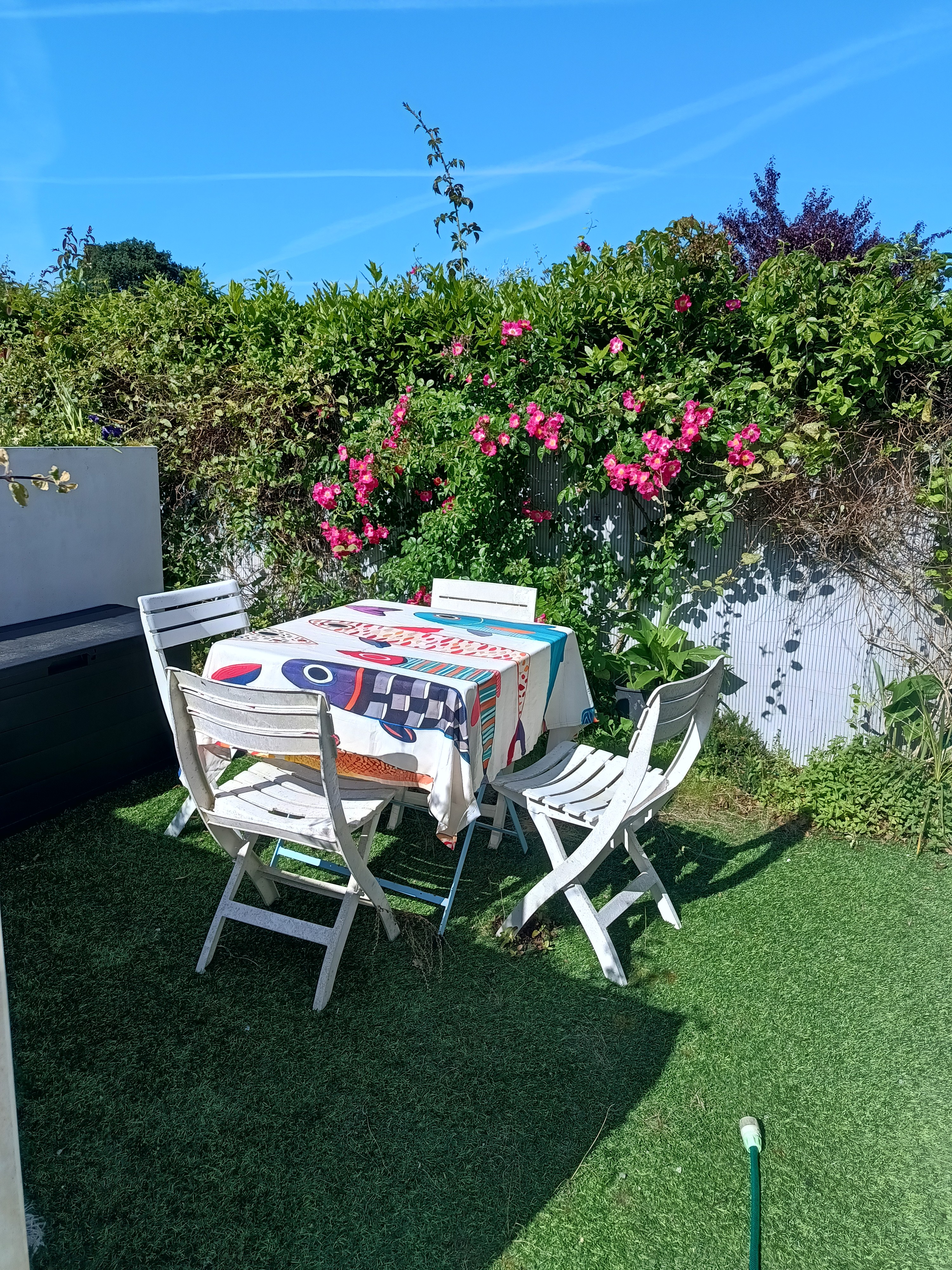 Photo n° 19 of the location