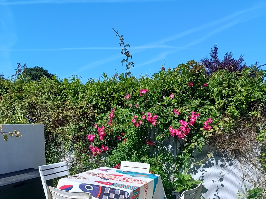 Photo n° 19 of the location
