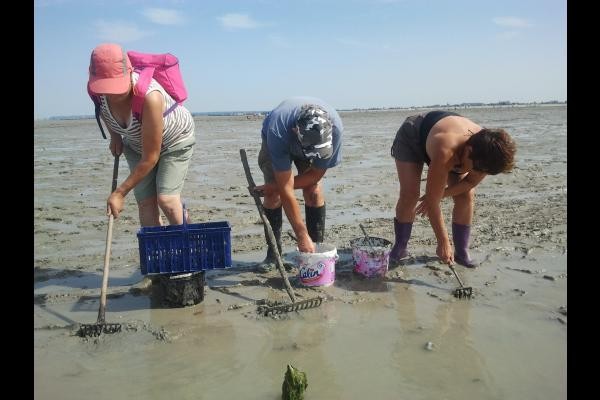 Pêche à pieds et on ne rentre jamais bredouille !