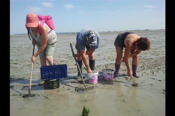 Pêche à pieds et on ne rentre jamais bredouille !