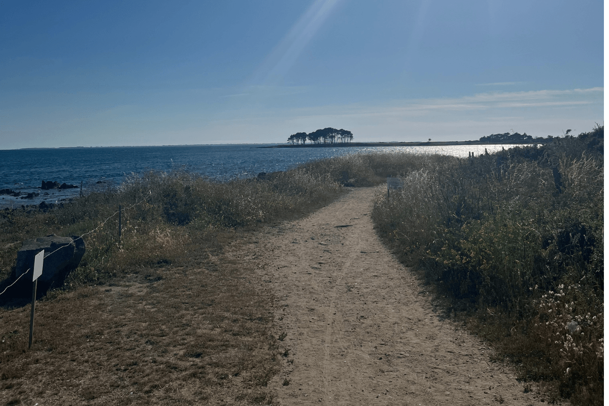 Photo n° 19 de la location