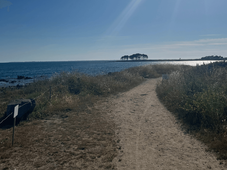 Photo n° 19 de la location