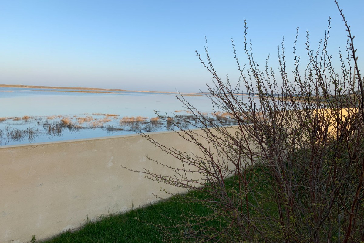 vue mer depuis le jardin