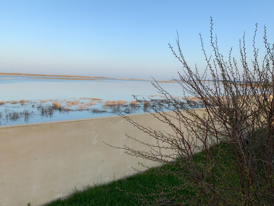 vue mer depuis le jardin