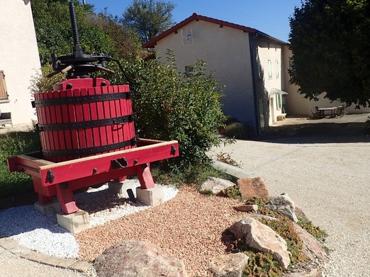 gites Le Tilleul et la Glycine