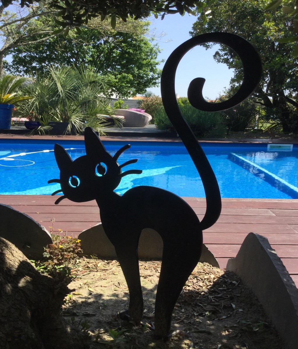 La piscine