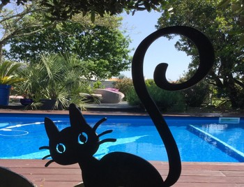 La piscine