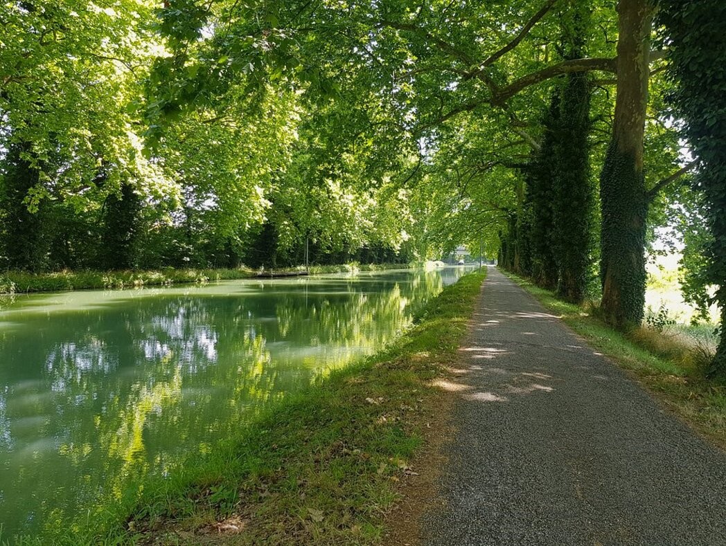Le jardin du contrôleur - Valence d'Agen