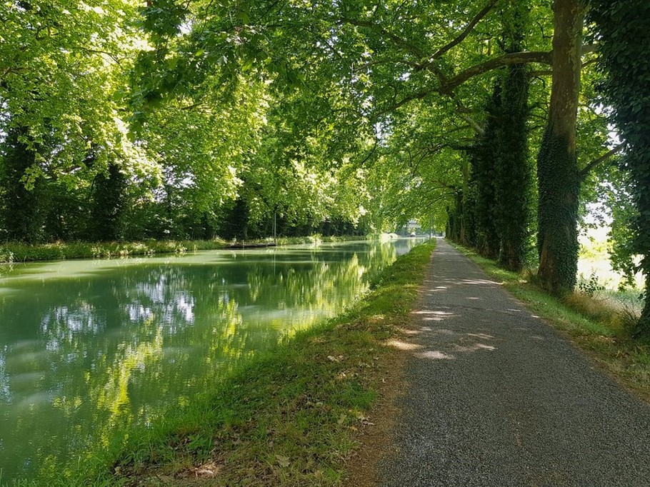 Le jardin du contrôleur - Valence d'Agen