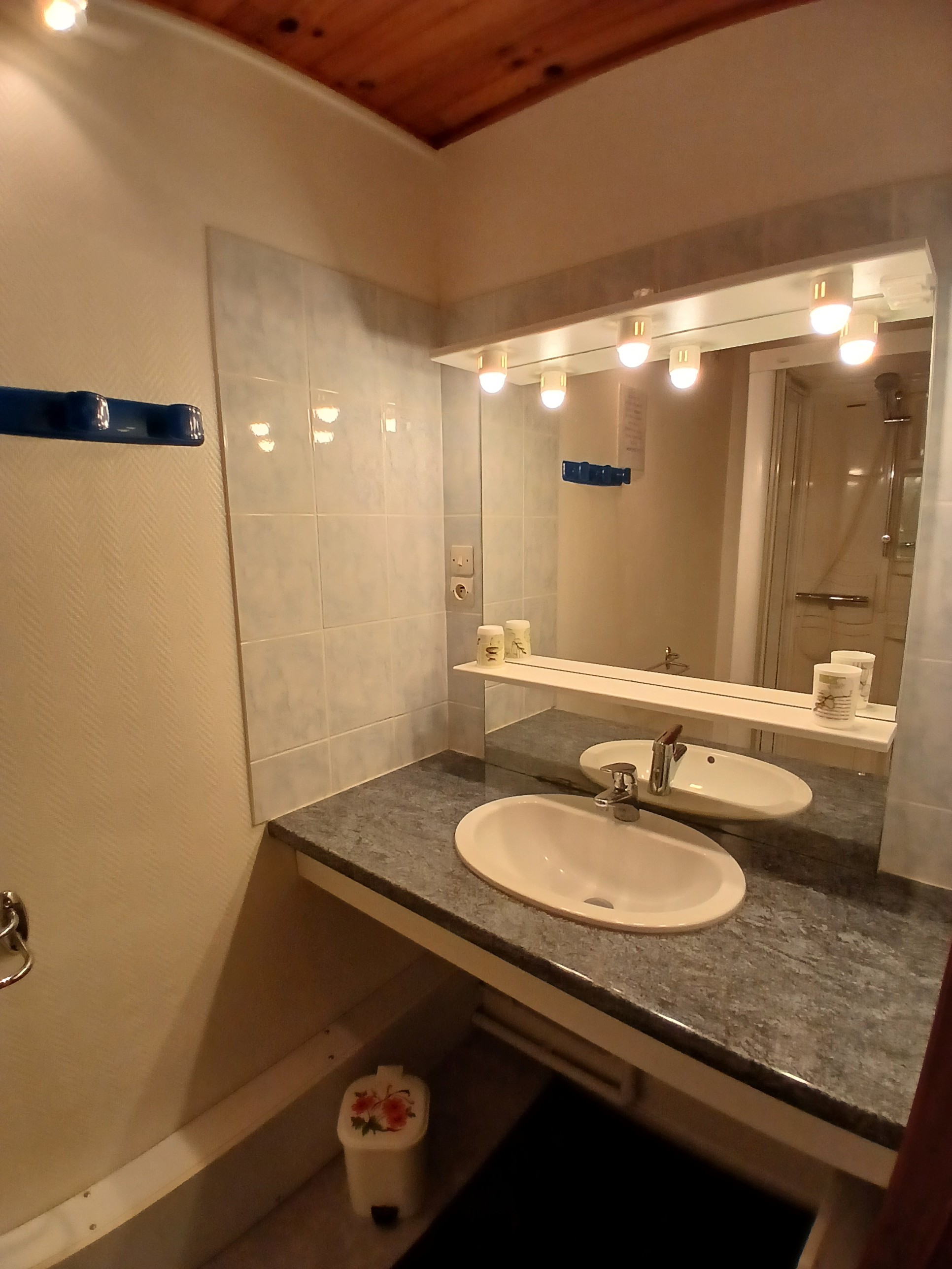 Shower room