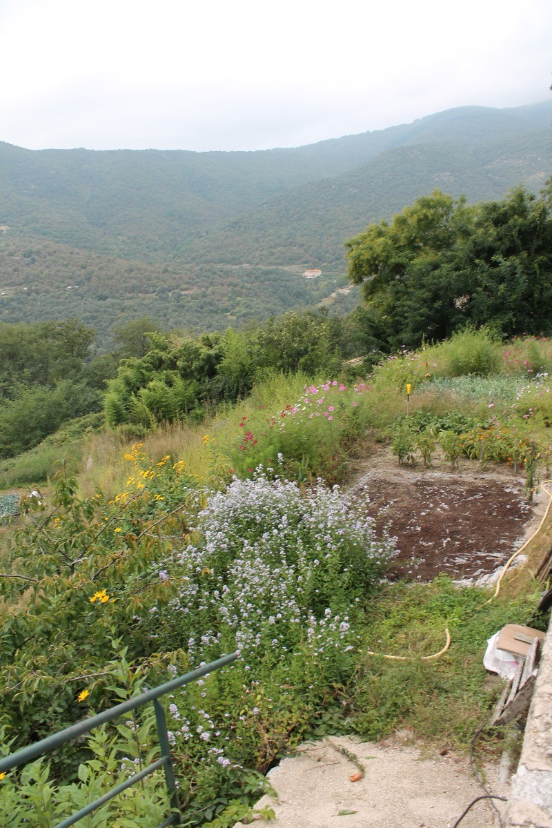 Photo n° 7 of the location