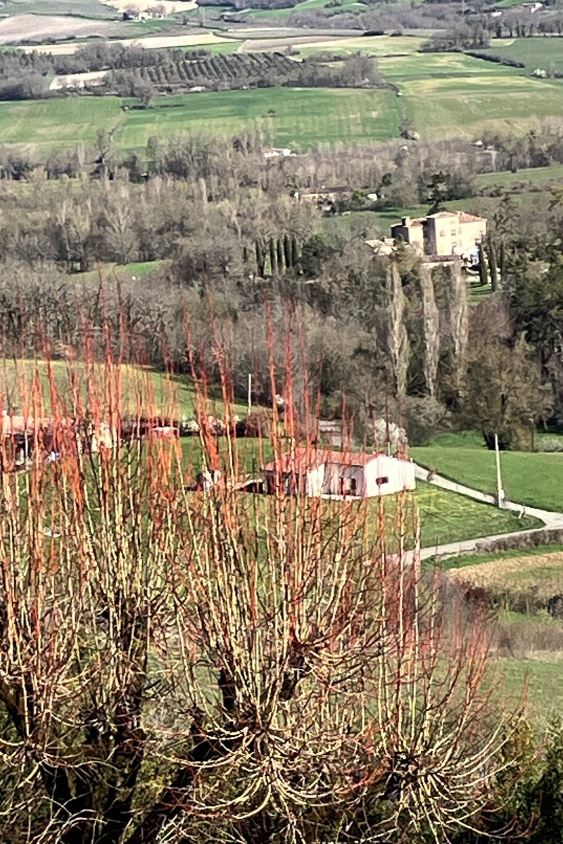 Vue du gite  au blason bleu à Castelnau de Montmiral (Tarn près de Toulouse)