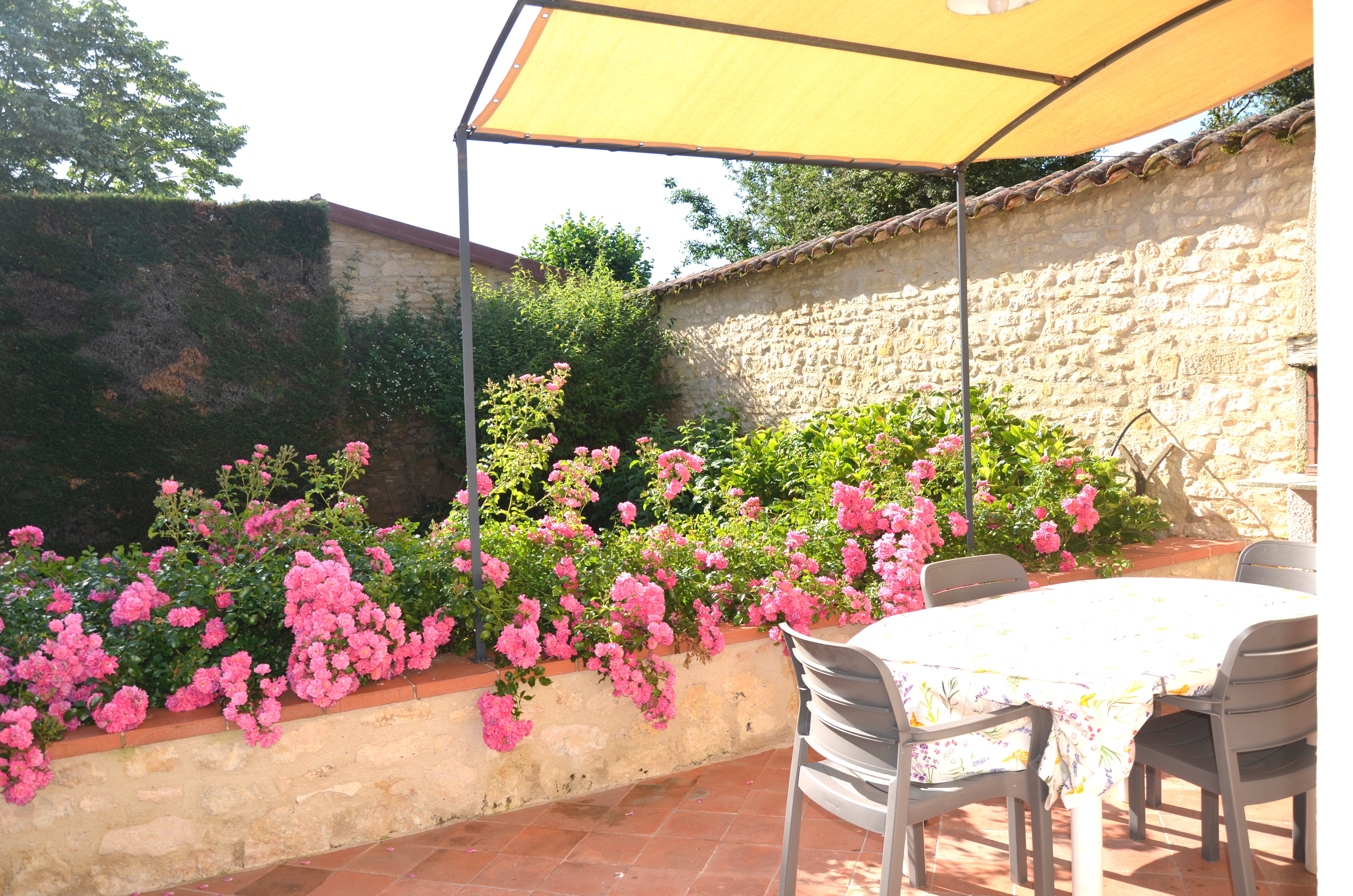 Photo n° 19 of the location
