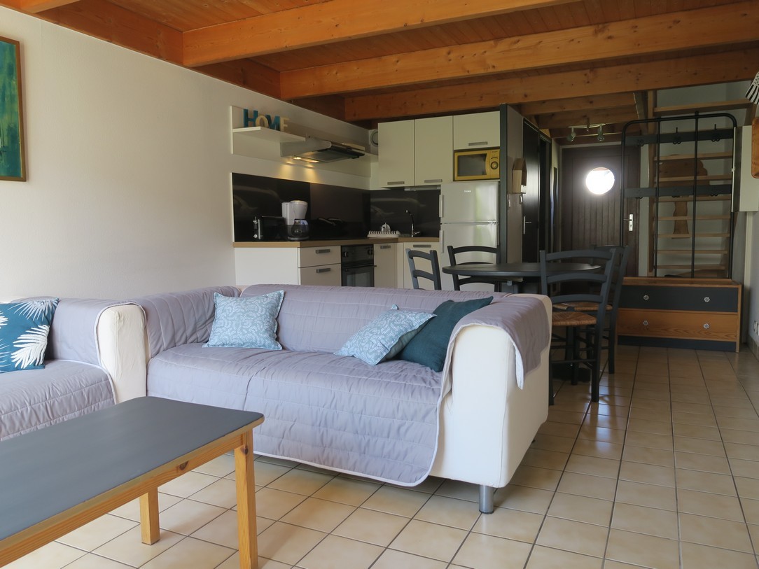 Guyodo rental, living room