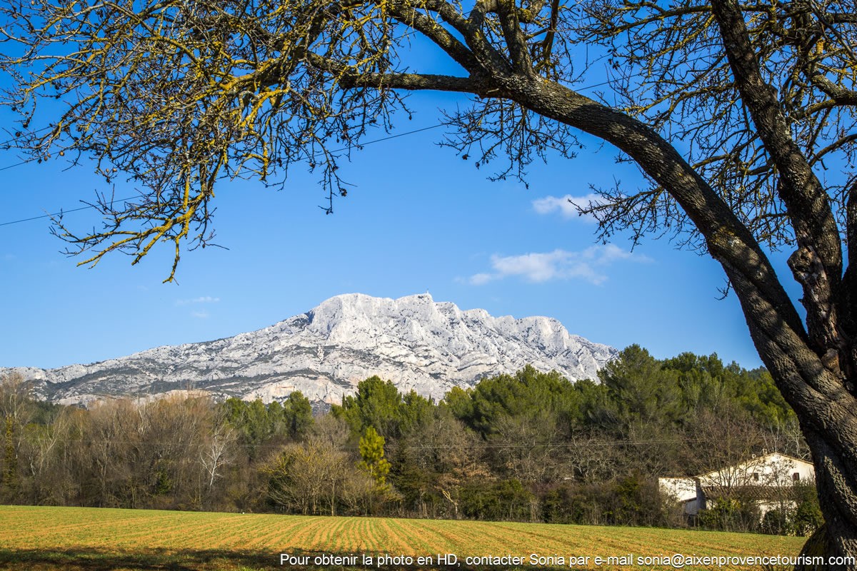 Une autre vue sur la montagne Sainte Victoire