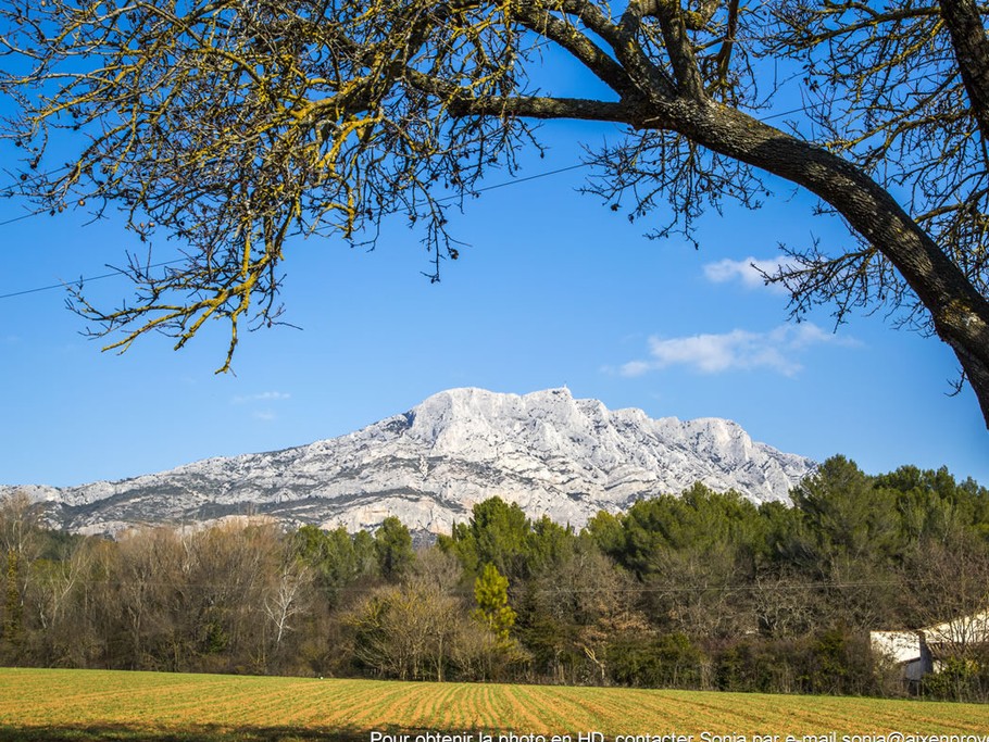Une autre vue sur la montagne Sainte Victoire