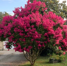 Image n° 3 de la location