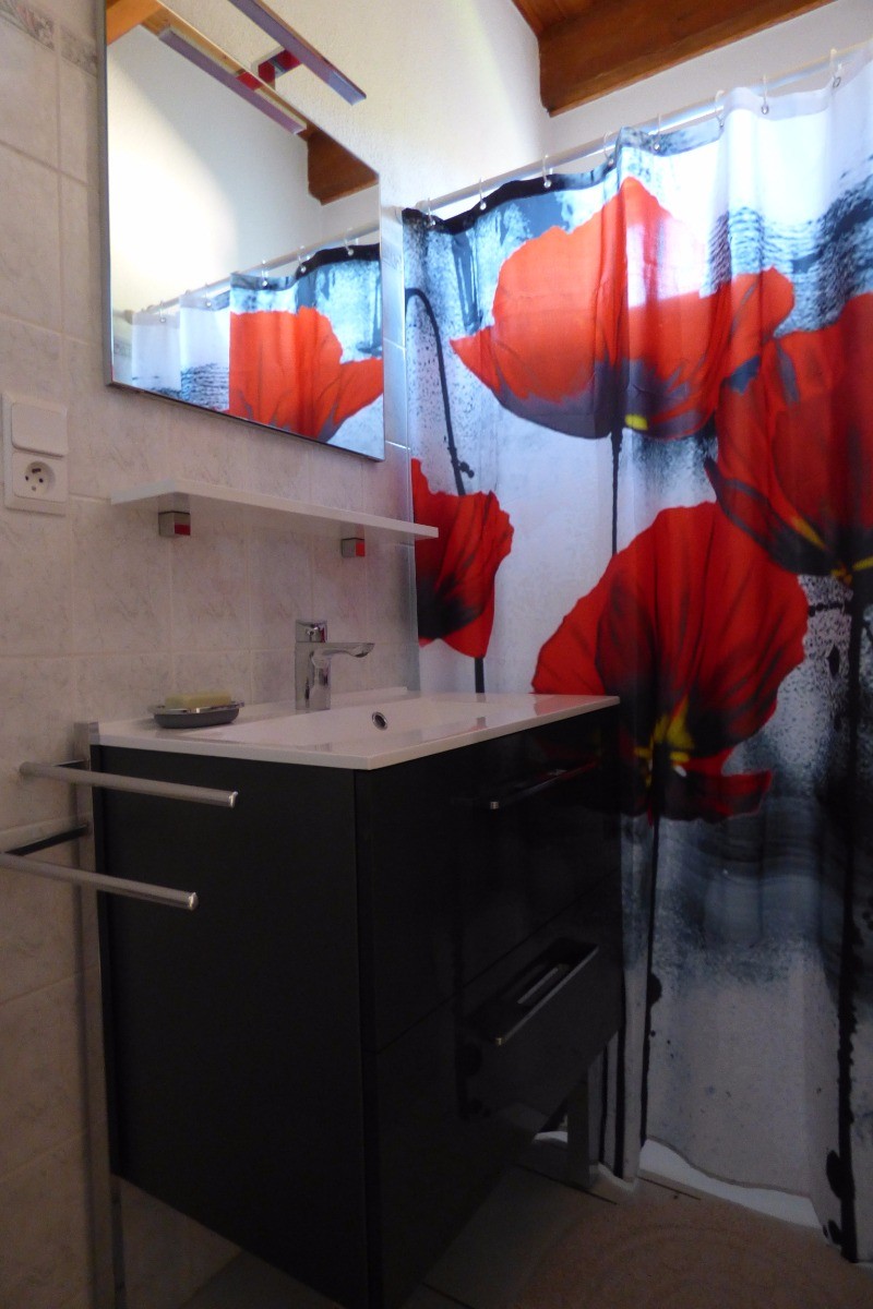 Photo n° 8 de la location