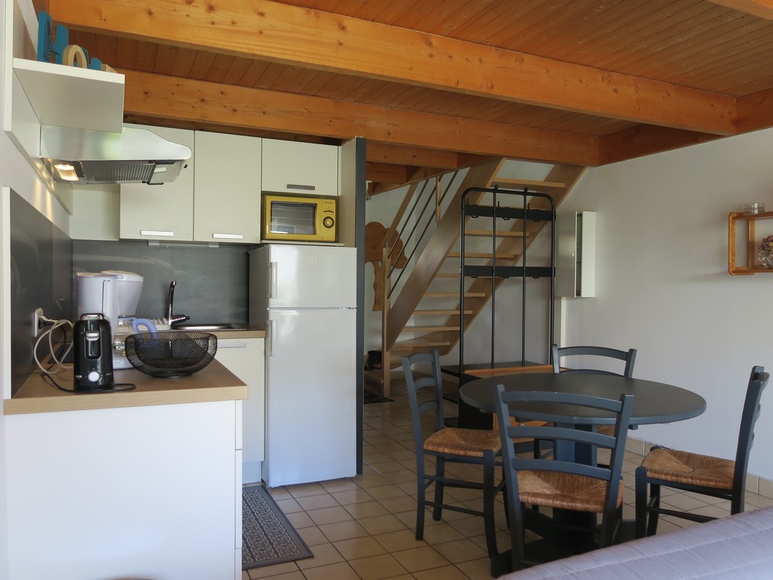 Guyodo rental, kitchen