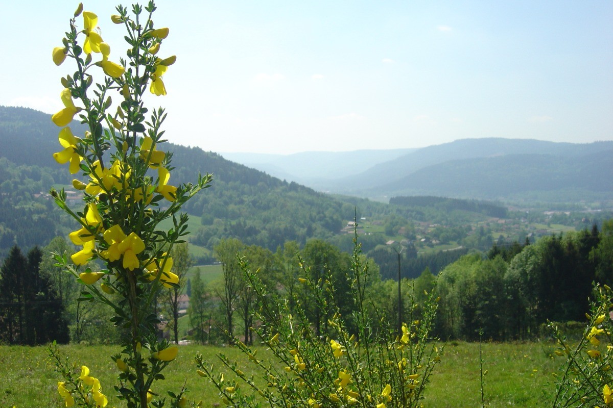 Couleurs de printemps, vue depuis le Gite - Au Petit Petonfaing