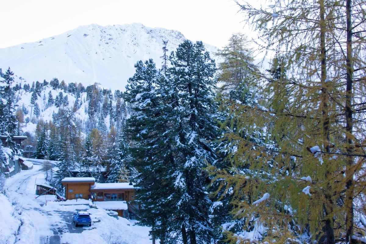 Domaine de la forêt