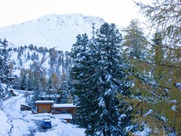 Domaine de la forêt