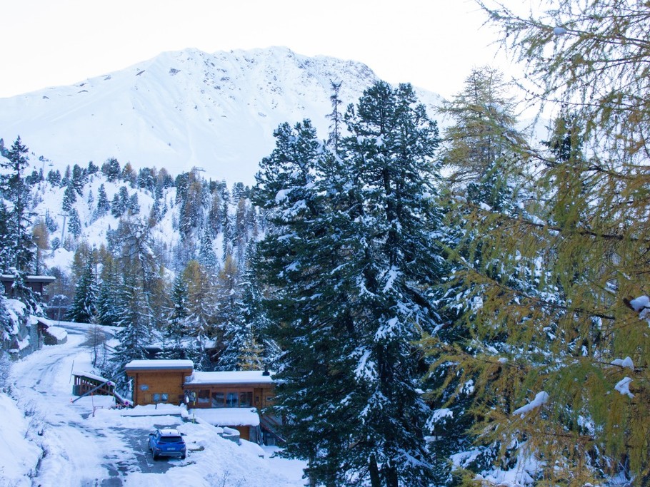 Domaine de la forêt