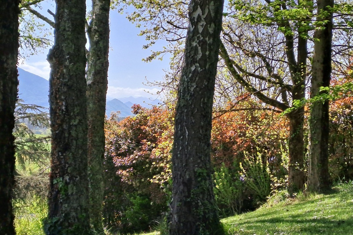 Le parc