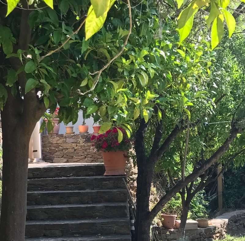 Photo n° 16 de la location