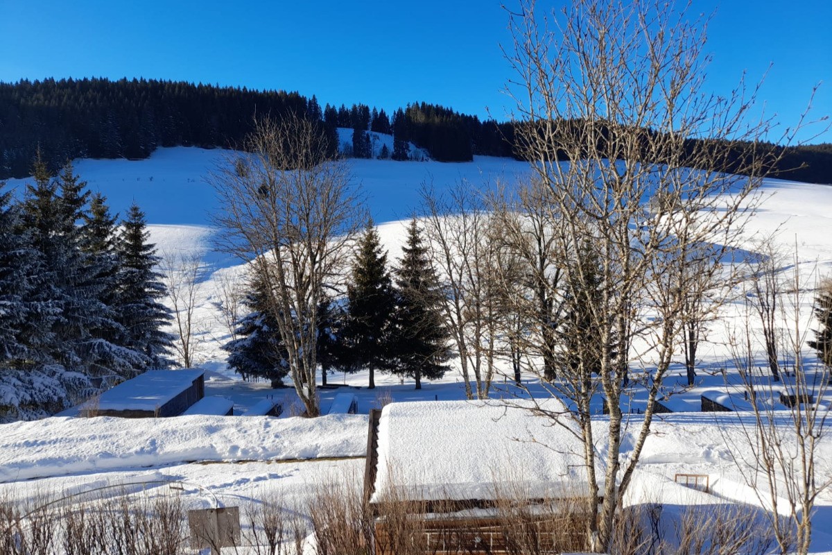 Photo n° 16 de la location