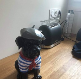 Image n° 5 de la location