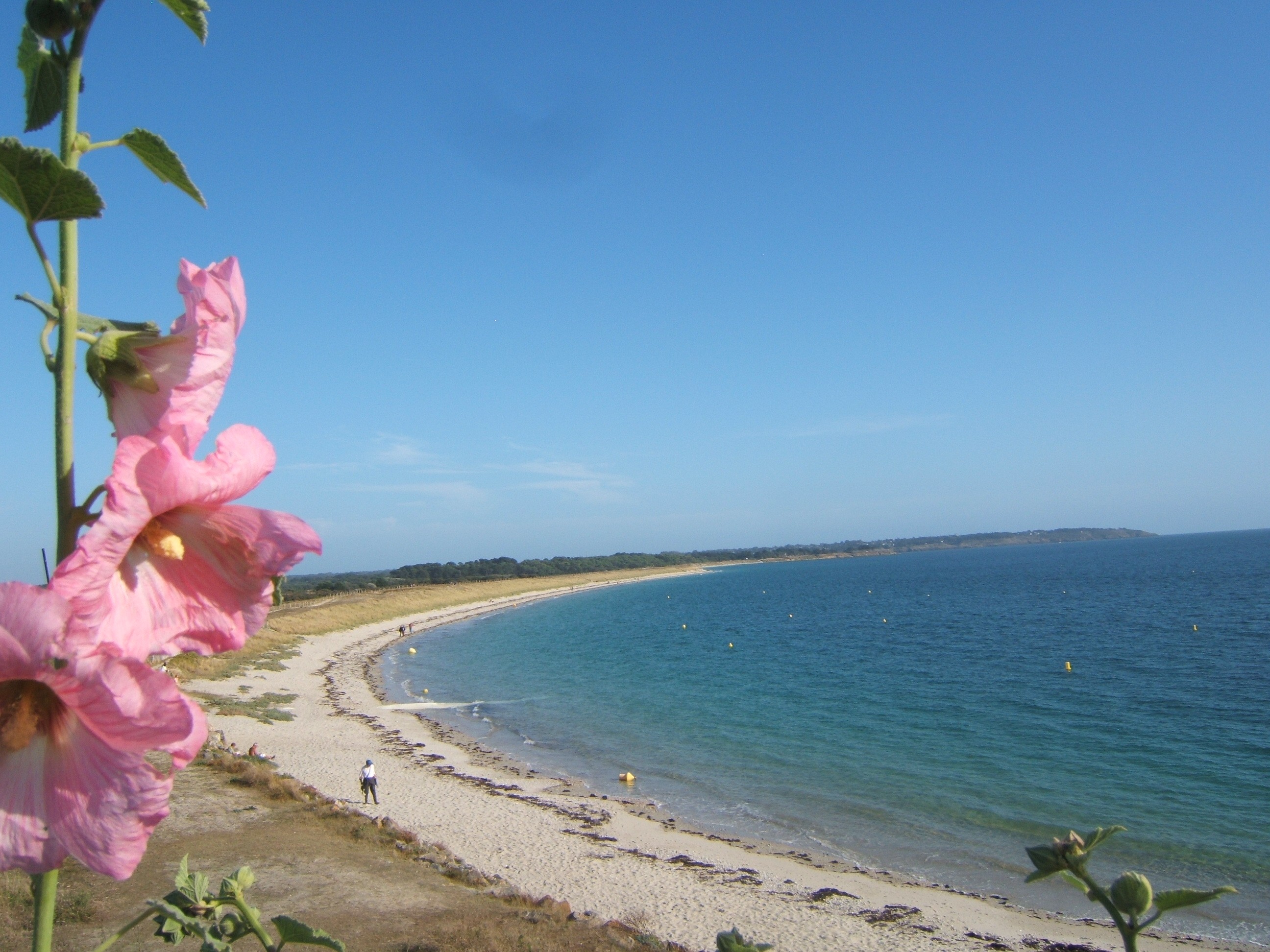 plage Kerver  derrière l immeuble