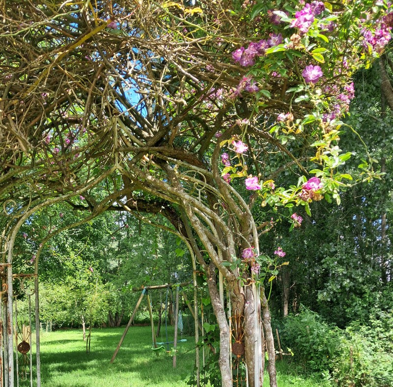 Photo n° 17 de la location