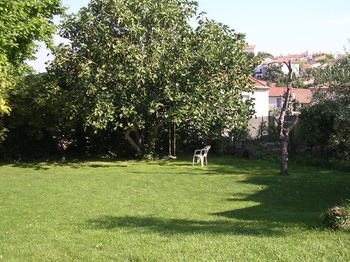 ©bouchard_jardin arboré