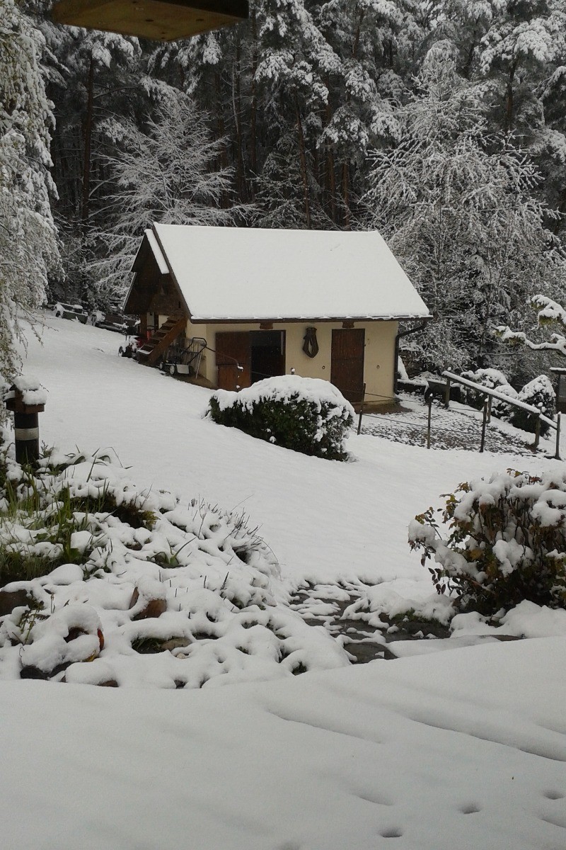 Photo n° 15 of the location