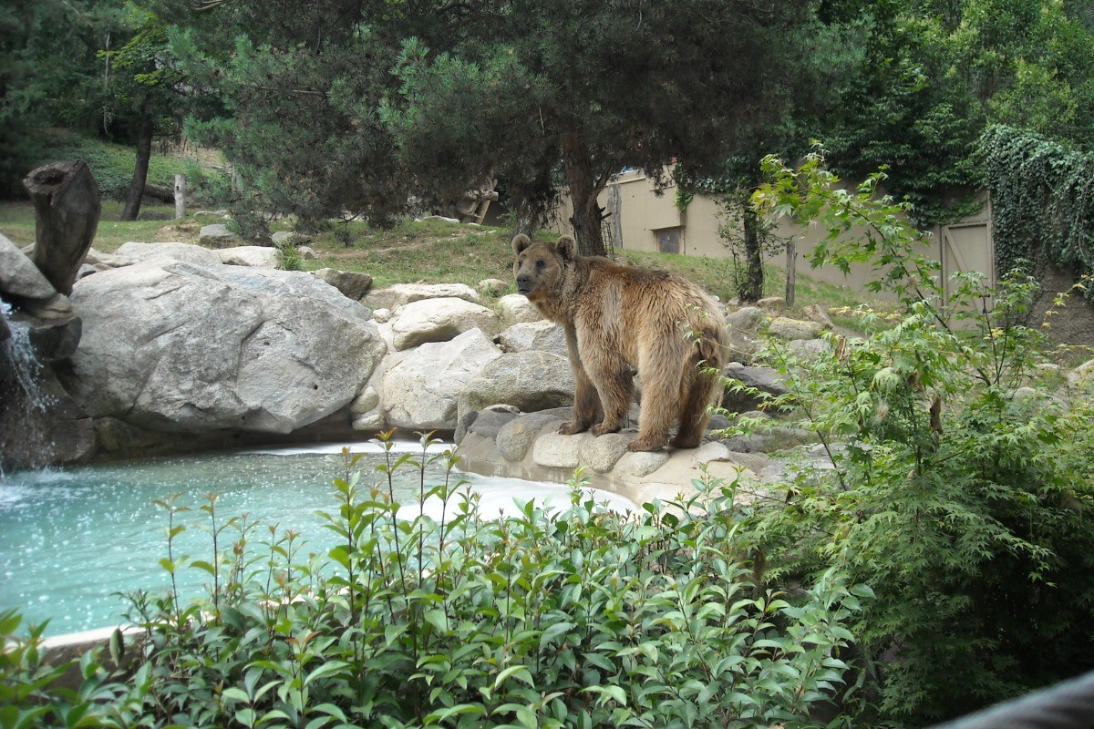 Parc Animalier D'ARGELES GAZOST la faune au naturel