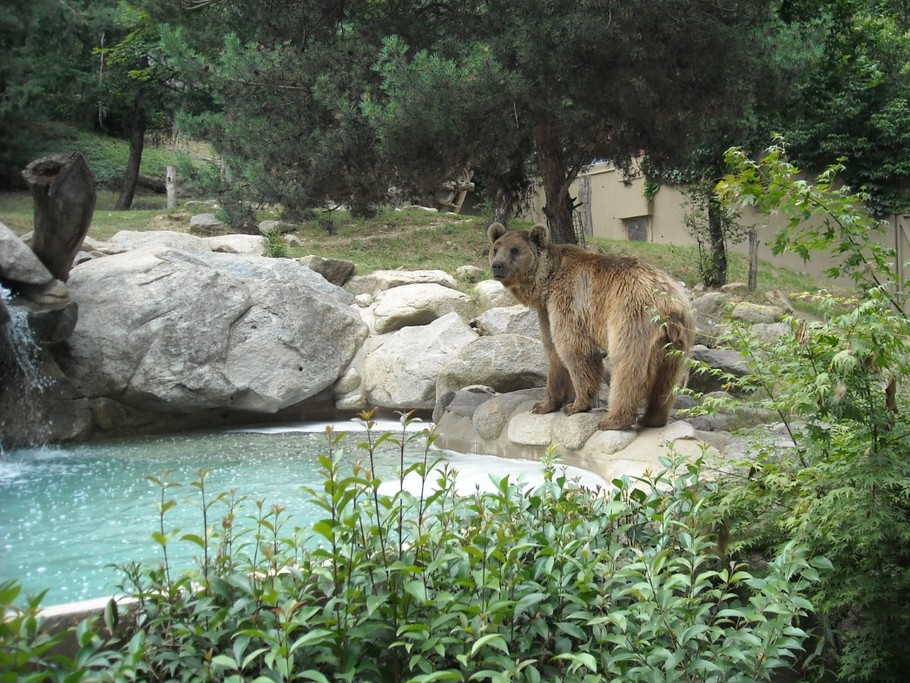 Parc Animalier D'ARGELES GAZOST la faune au naturel