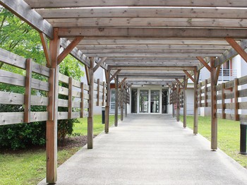 Pergola