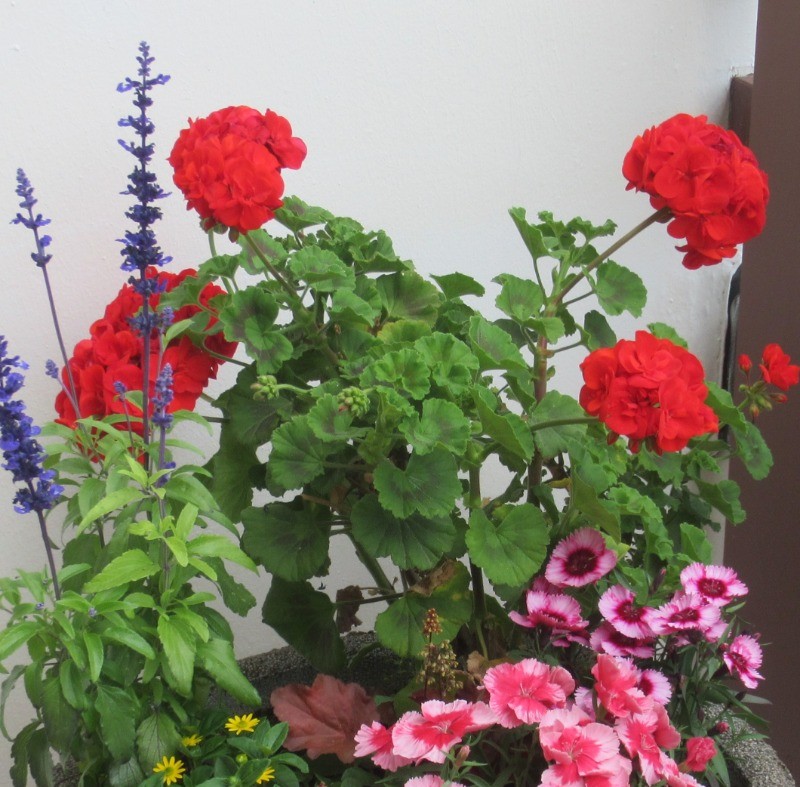 Photo n° 18 of the location