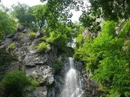 Au détour des chemins
