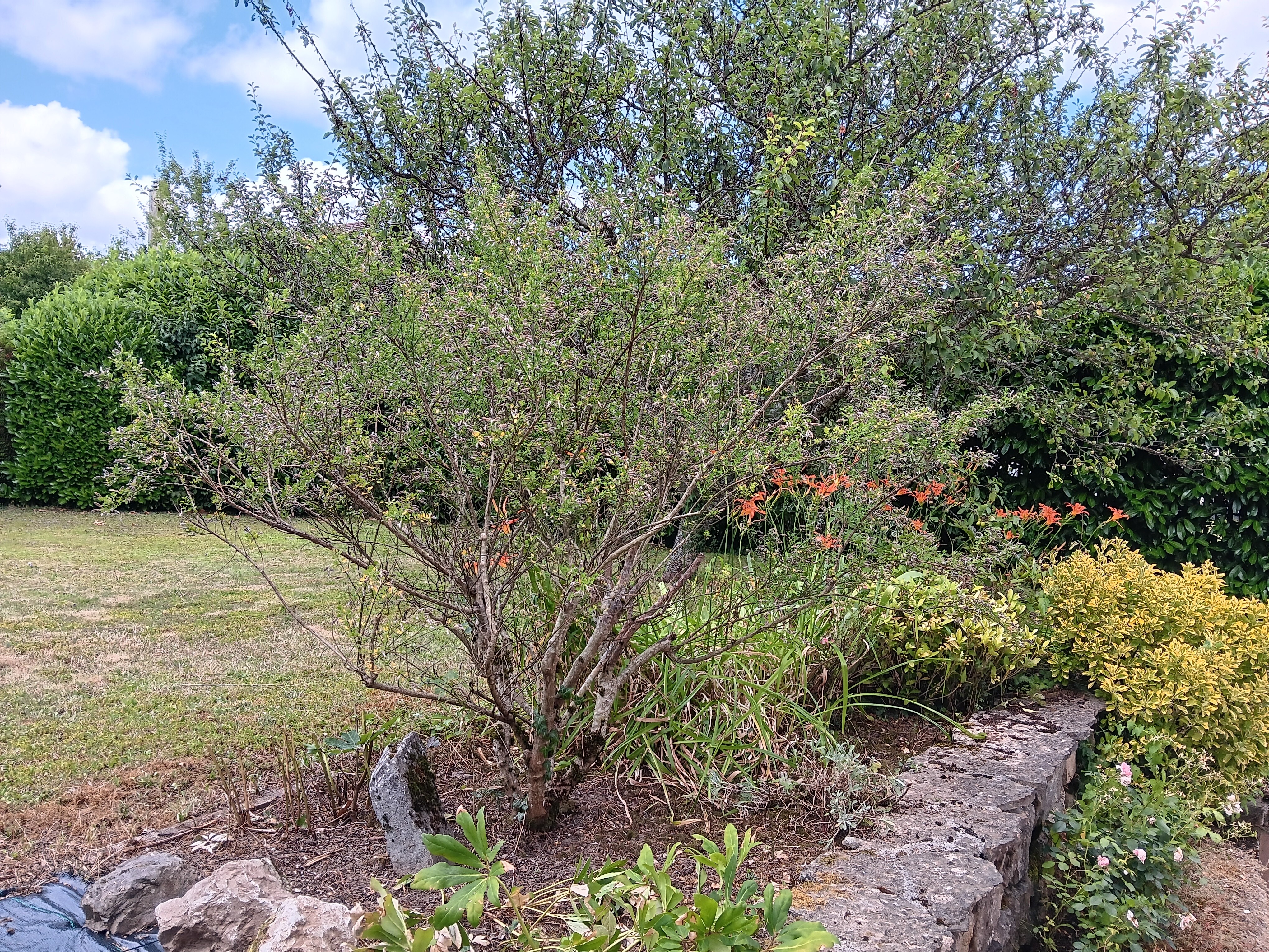 Espace jardin