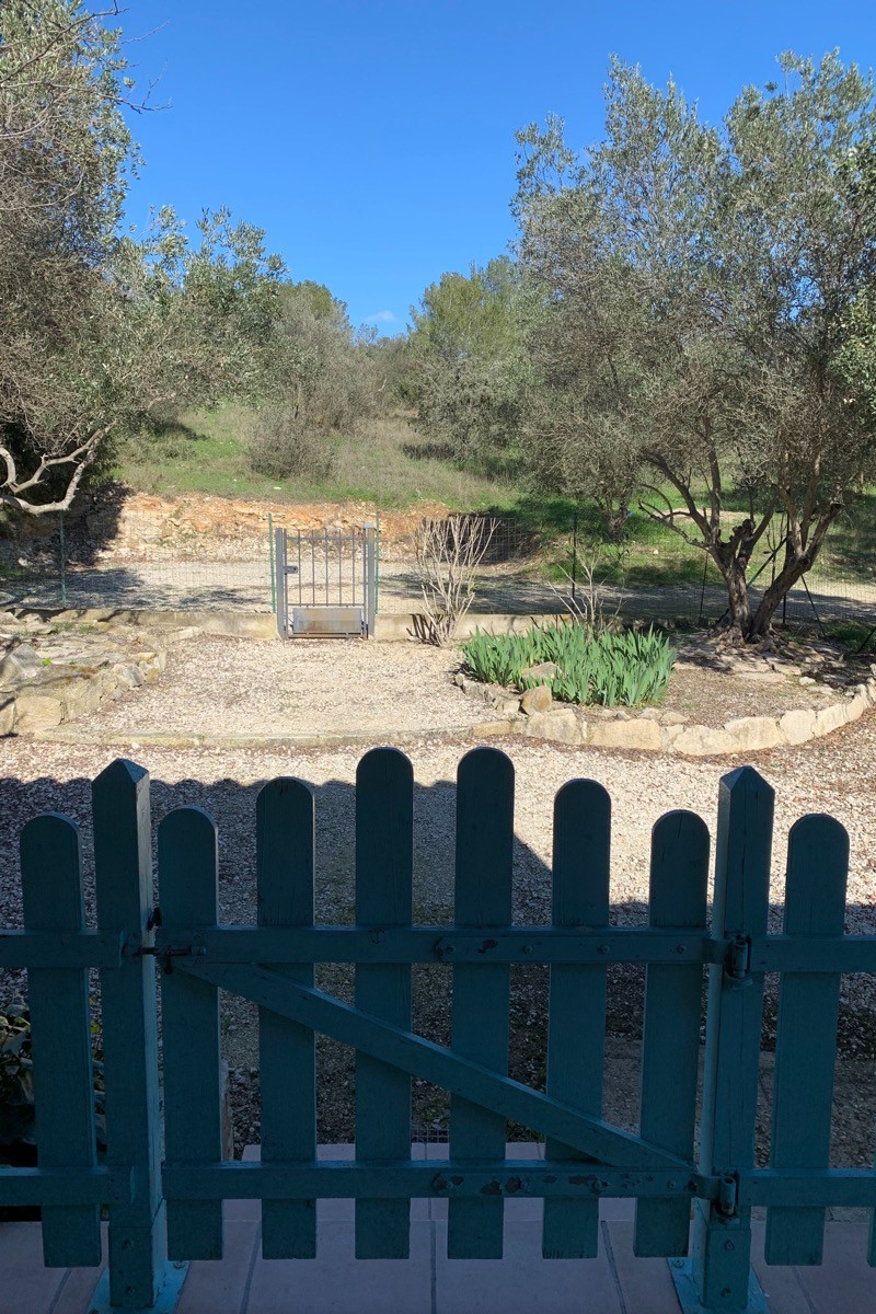 Jardin