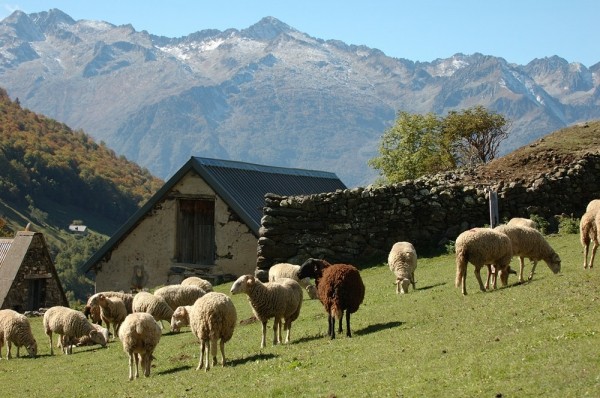 Photo n° 18 de la location