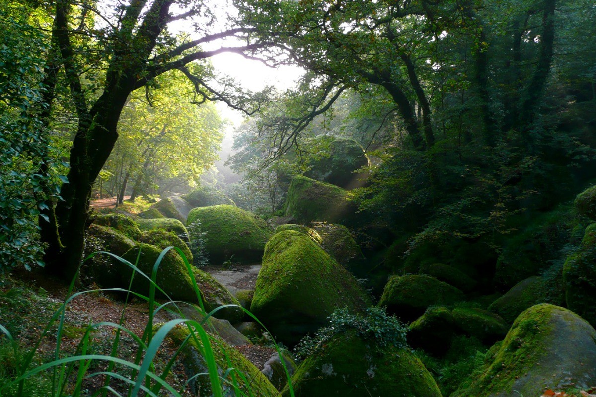 Forêt légendaire d'Huelgoat