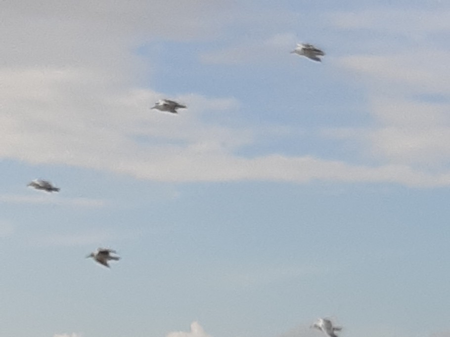 Photo n° 13 de la location