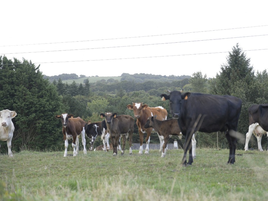 Photo n° 20 de la location