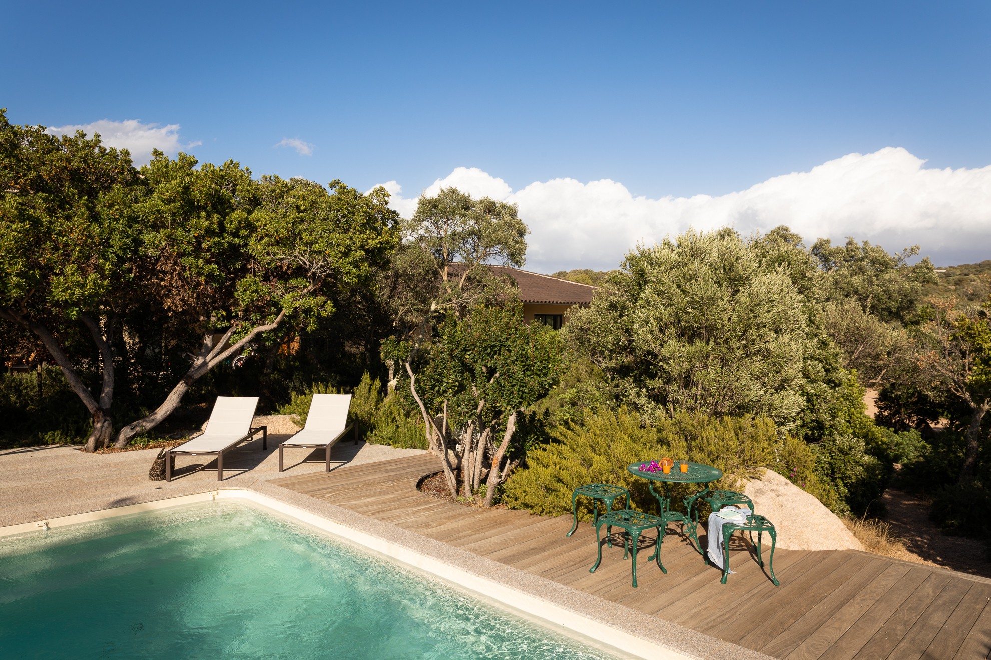 Swimming pool and terrace