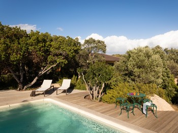 Swimming pool and terrace